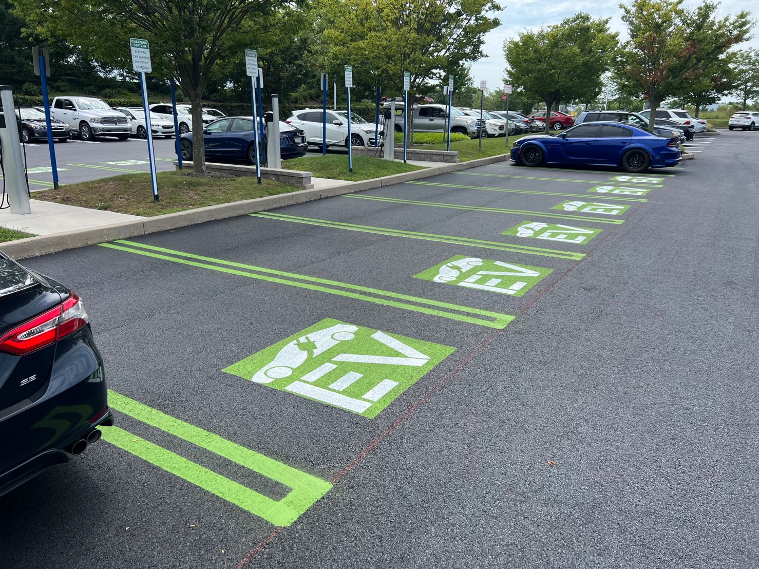 Pavement Marking